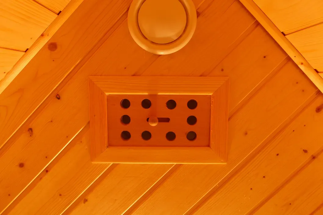 적외선 사우나를 위한 2인용 목조 사우나실